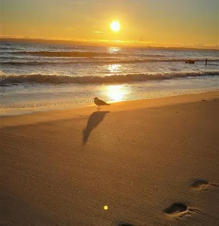 Eine Schoene 3-zimmer-wohnung Mit Ostsee-zugang! * Juliusruh