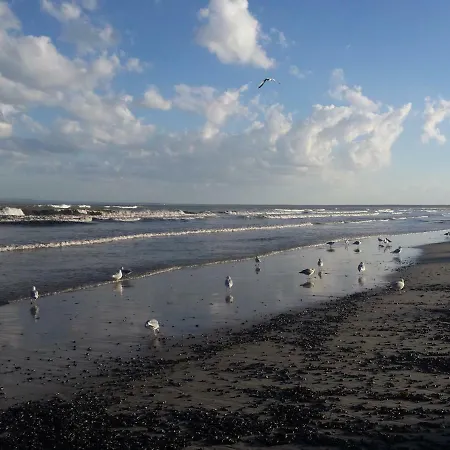 Eine Schoene 3-zimmer-wohnung Mit Ostsee-zugang! *