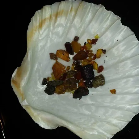 Eine Schoene 3-zimmer-wohnung Mit Ostsee-zugang! * Juliusruh