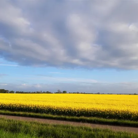 Eine Schoene 3-zimmer-wohnung Mit Ostsee-zugang! Lejlighed *