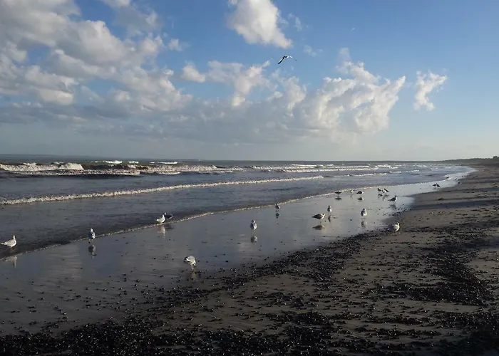 Eine Schoene 3-zimmer-wohnung Mit Ostsee-zugang! *