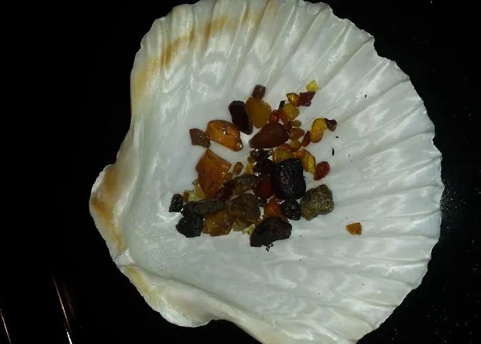 Eine Schoene 3-zimmer-wohnung Mit Ostsee-zugang! * Juliusruh