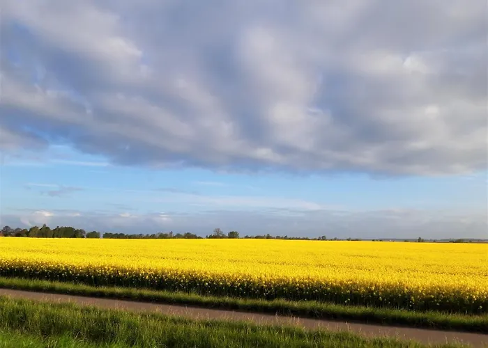 Eine Schoene 3-zimmer-wohnung Mit Ostsee-zugang! Lejlighed *